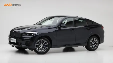 二手宝马X6 xDrive30i M运动套装