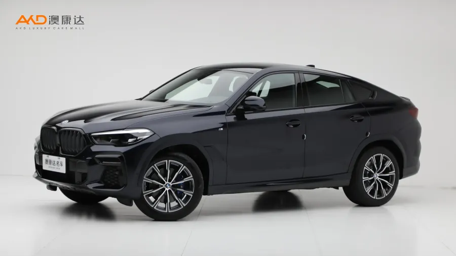 二手宝马X6 xDrive30i M运动套装图片