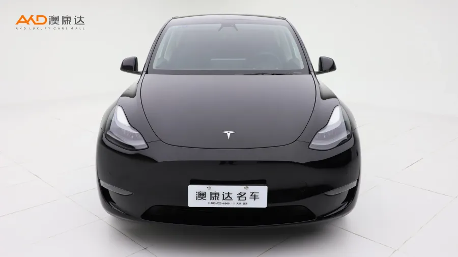 二手特斯拉Model Y Performance高性能全轮驱动版图片3633913