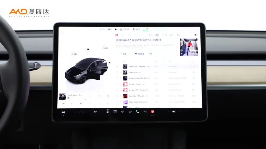 二手特斯拉Model Y Performance高性能全轮驱动版图片3633937