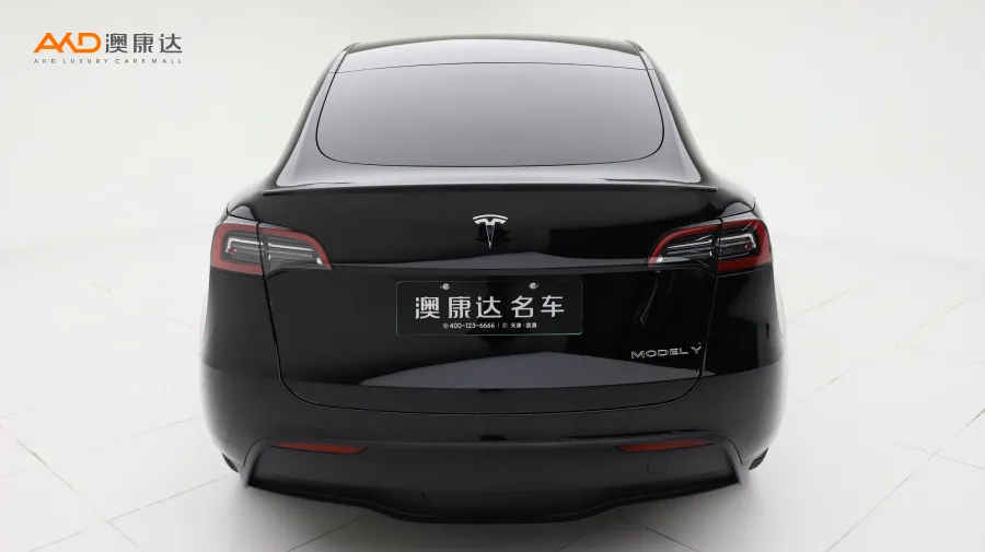 二手特斯拉Model Y Performance高性能全轮驱动版图片3633923