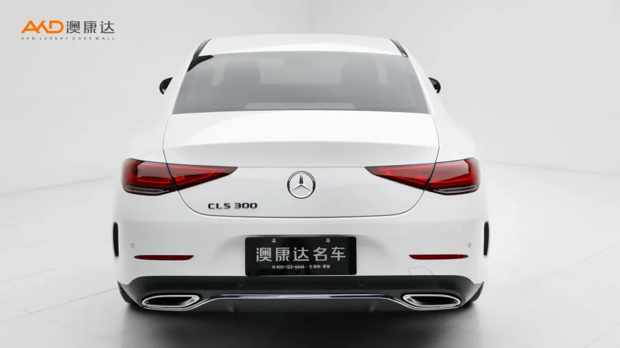 二手奔驰CLS300 动感型图片3639395