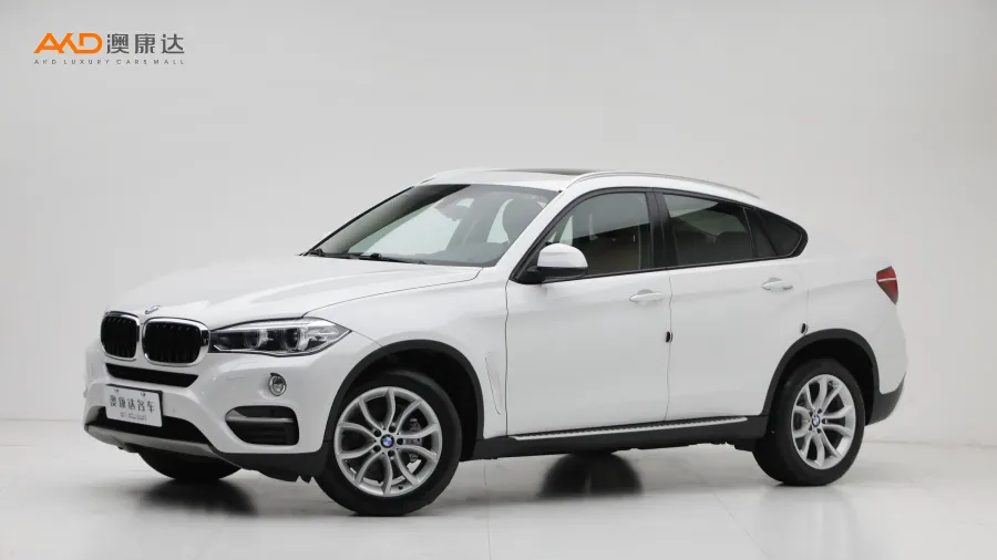 二手宝马X6 xDrive28i图片