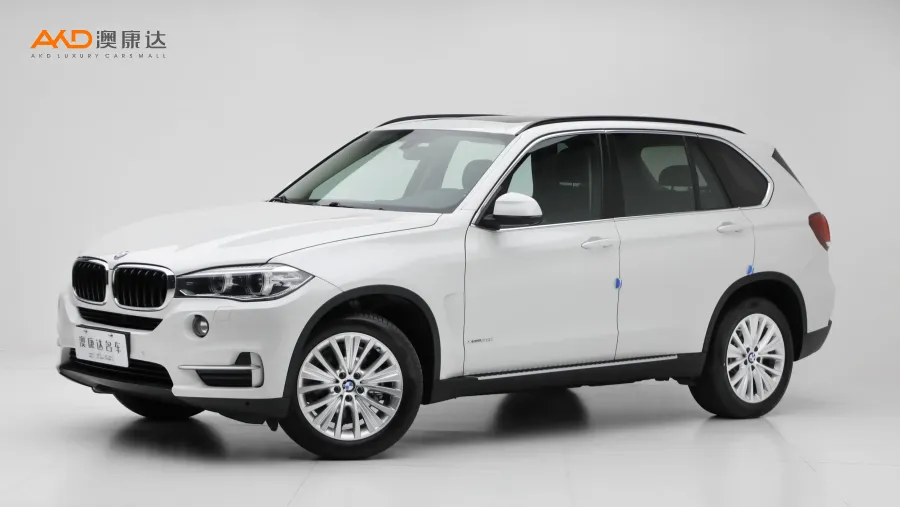 二手宝马X5  xDrive28i图片