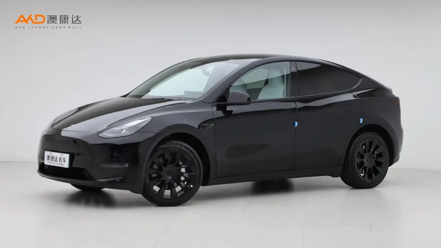 二手特斯拉Model Y 长续航全轮驱动版图片