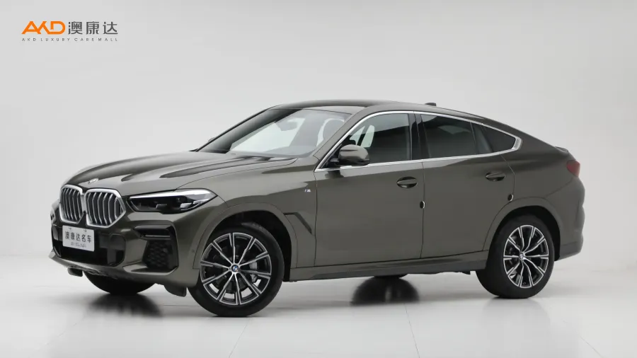 二手宝马X6 xDrive30i M运动套装图片