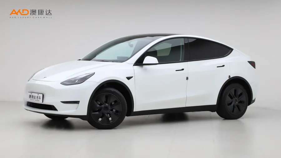 二手特斯拉Model Y 长续航全轮驱动版图片