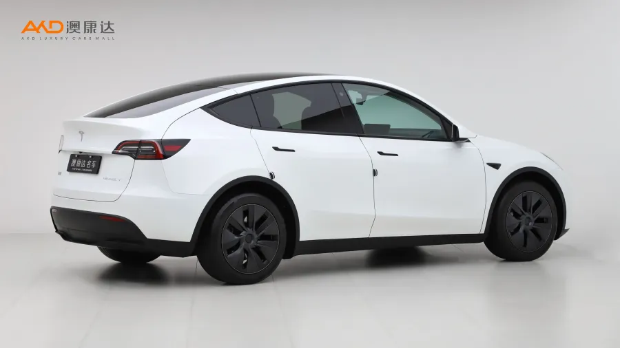 二手特斯拉Model Y 长续航全轮驱动版图片3689834