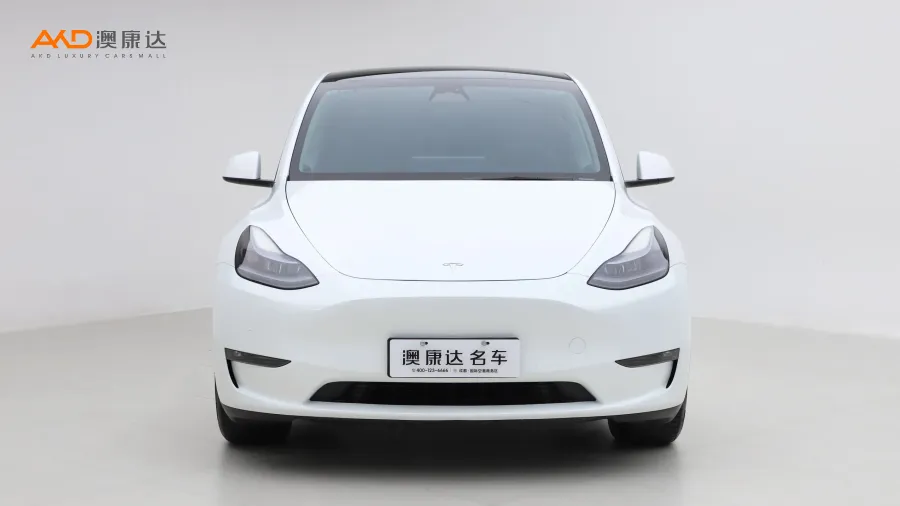 二手特斯拉Model Y 长续航全轮驱动版图片3689830