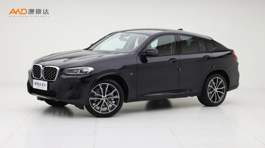 二手宝马X4 xDrive30i M运动套装图片