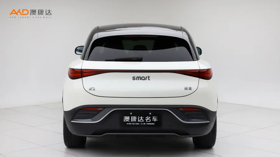 二手Smart精灵#3 型动四驱版图片3699829