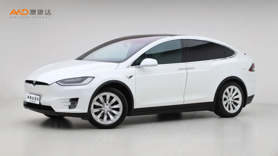 二手特斯拉Model X 100D 长续航版图片