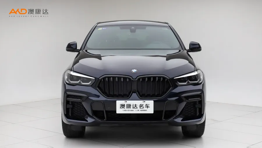 二手宝马X6 xDrive30i 改款 M运动套装图片3701716