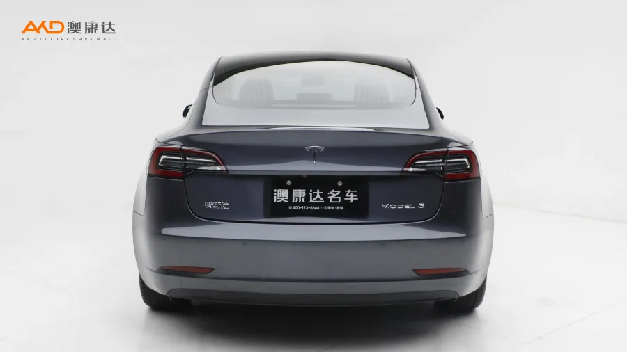 二手特斯拉Model 3 标准续航后轮驱动升级版图片3702860