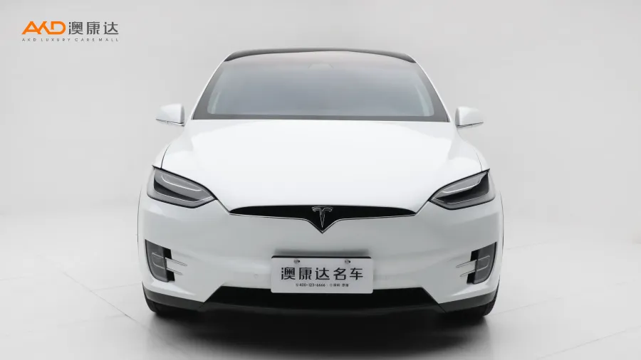 二手特斯拉Model X 100D 长续航版图片3708950