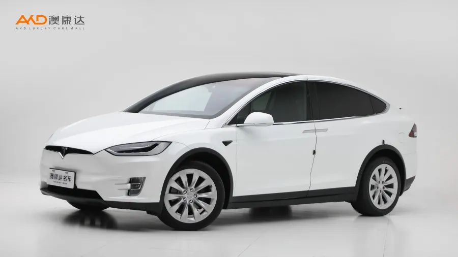 二手特斯拉Model X 100D 长续航版图片