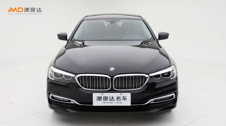 二手宝马530Li 改款 xDrive 豪华套装图片3711857