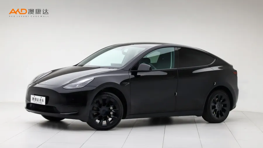 二手特斯拉Model Y 改款 后轮驱动版图片