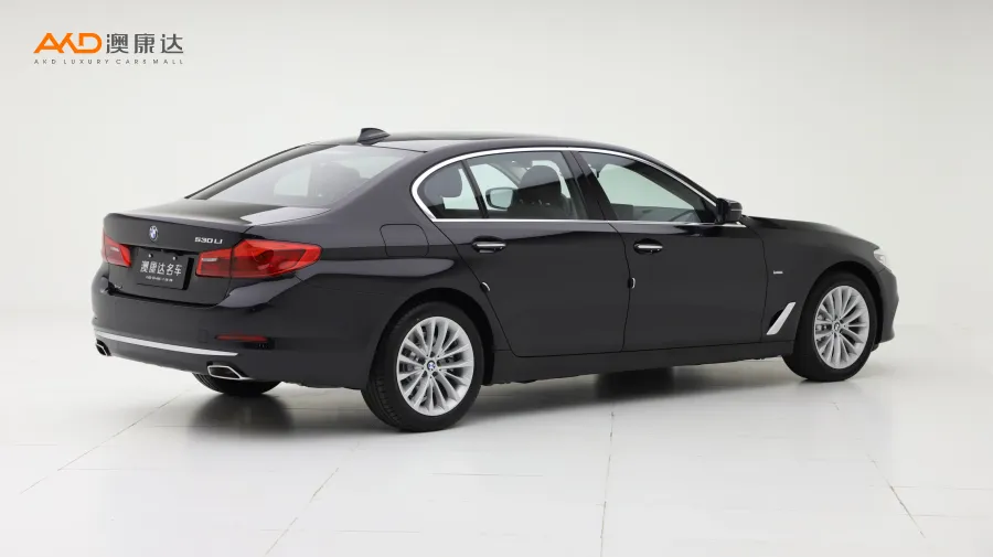 二手宝马530Li 改款 xDrive 豪华套装图片3711860