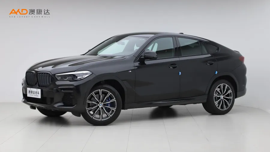 二手宝马X6 xDrive30i M运动套装图片