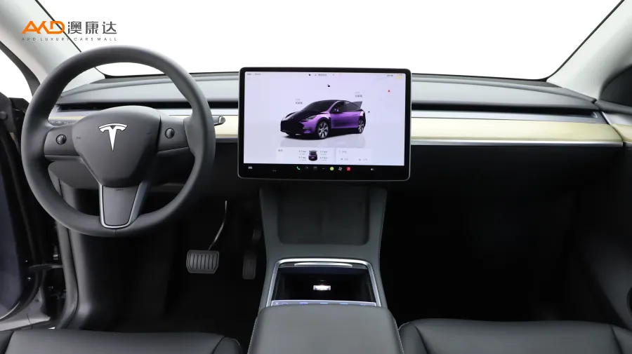 二手特斯拉Model Y 改款 后轮驱动版图片3719002