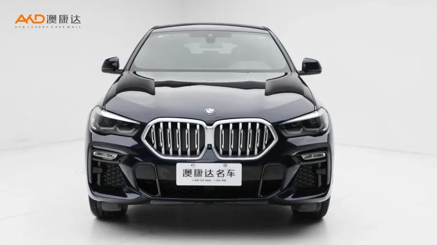 二手宝马X6 xDrive30i M运动套装图片3720175